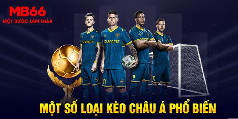 Top tỷ lệ kèo châu Á phổ biến nhất 2024